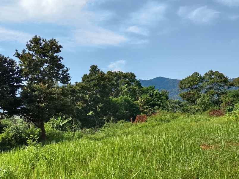 vila kebun produktif cijambe subang jawa barat