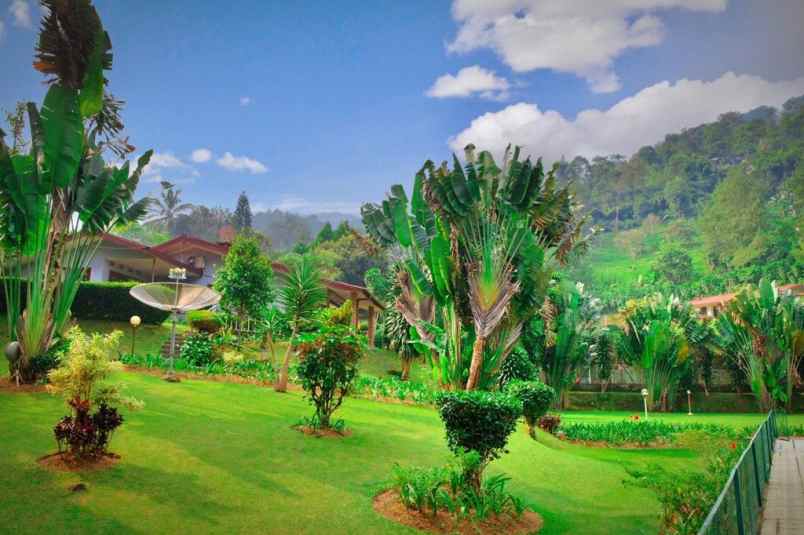 villa jl raya puncak gadog