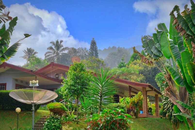 villa jl raya puncak gadog