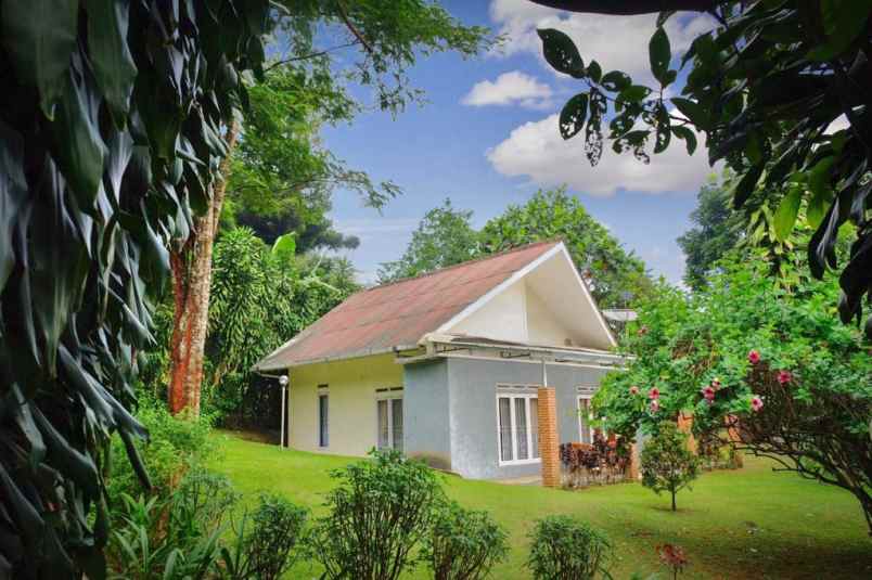 villa jl raya puncak gadog