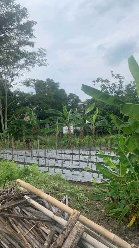 650 m kampus uii dekat dengan jl kaliurang jl degolan