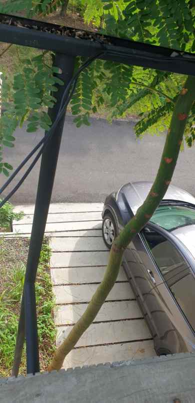 dijual rumah cluster sehati kompleks