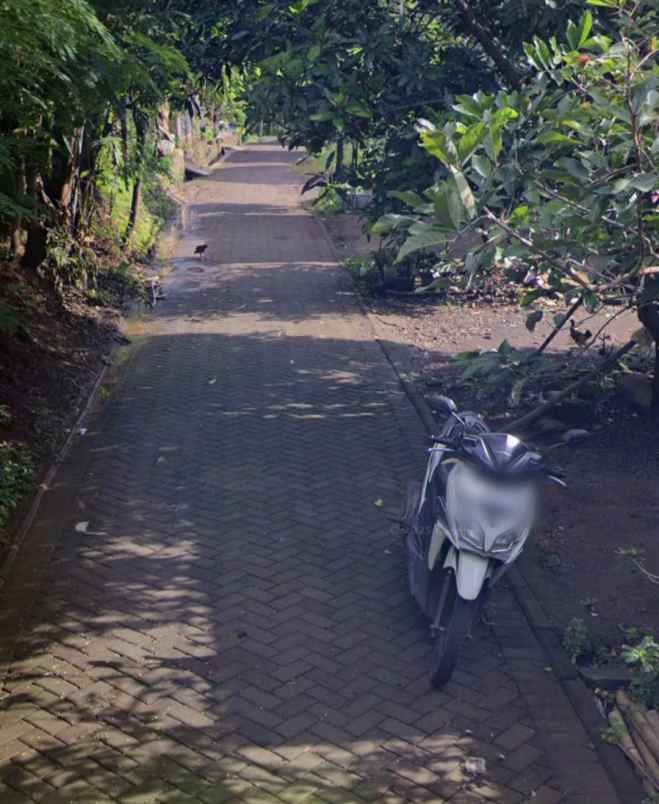 dijual rumah rumah ready di bringin ngaliyan semarang