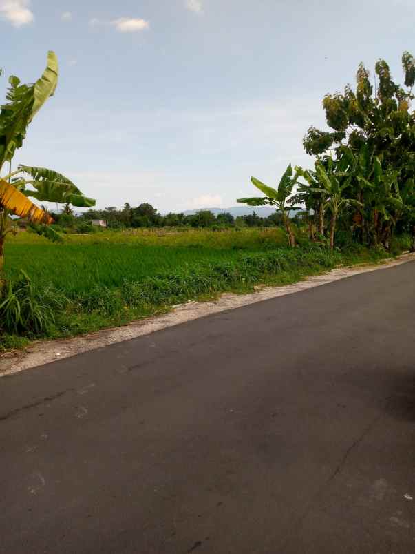 dijual sawah kranggan kebonalas manisrenggo