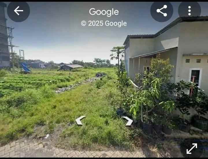 dijual tanah area kampus