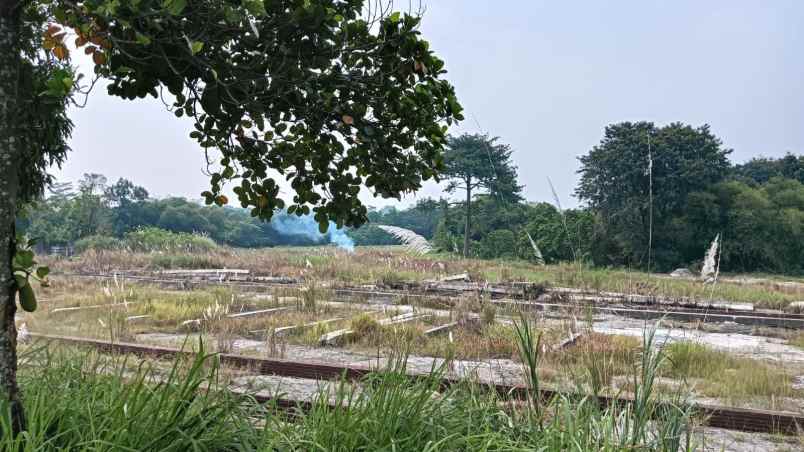 dijual tanah cariu