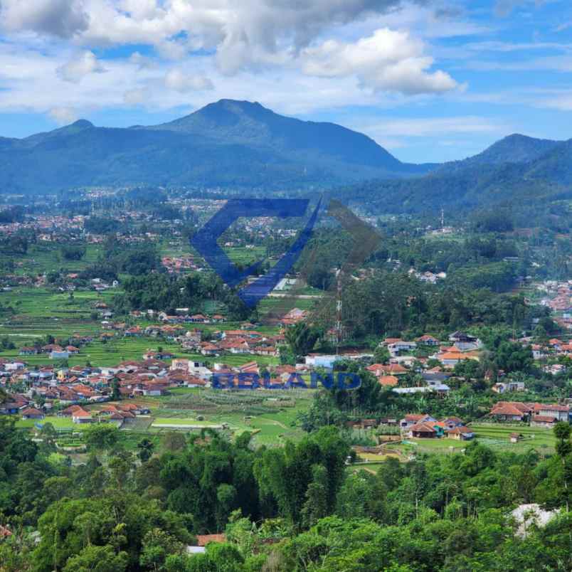 dijual tanah ciwidey