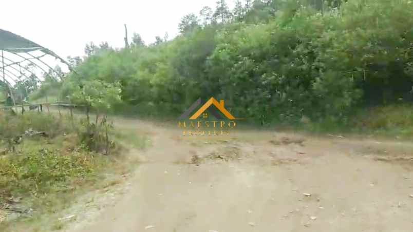 dijual tanah daerah karo desa ajinembah