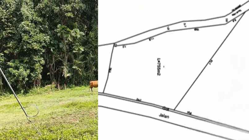 dijual tanah desa bajera selemadeg