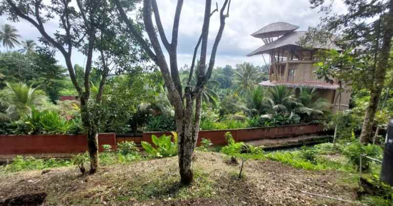 dijual tanah desa bajra kec selemadeg