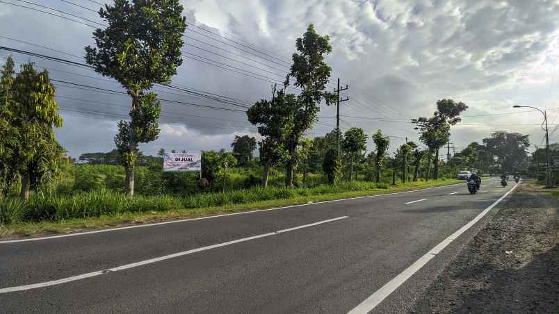 dijual tanah desa kembiritan kec