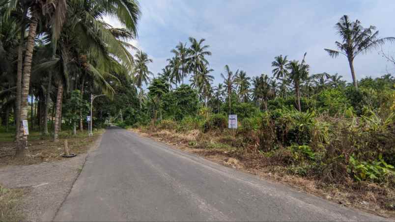 dijual tanah desa pakistaji kec kabat