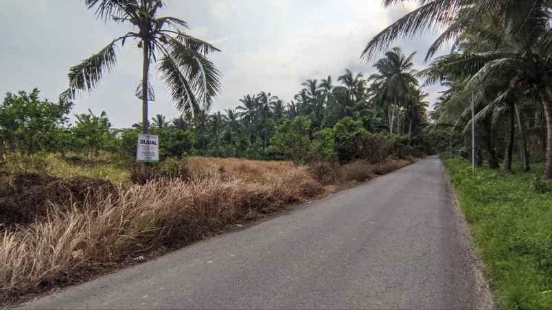 dijual tanah desa pakistaji kec kabat