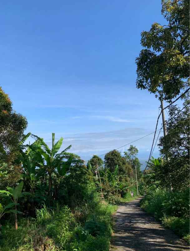 dijual tanah desa sukasada buleleng bali
