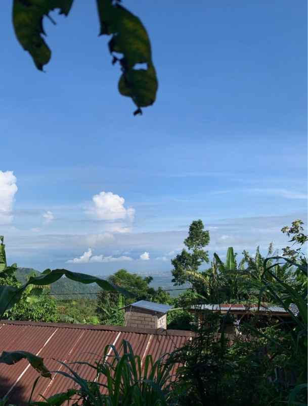 dijual tanah desa sukasada buleleng bali