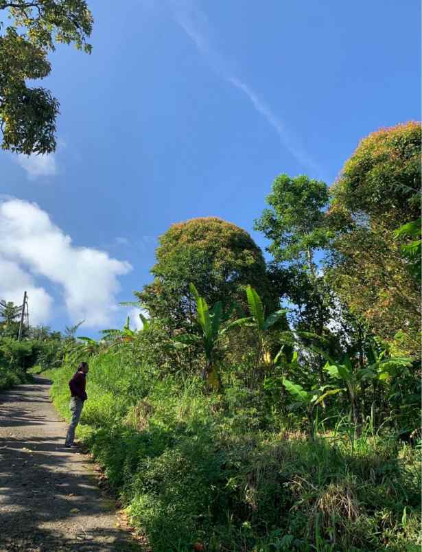 dijual tanah desa sukasada buleleng bali