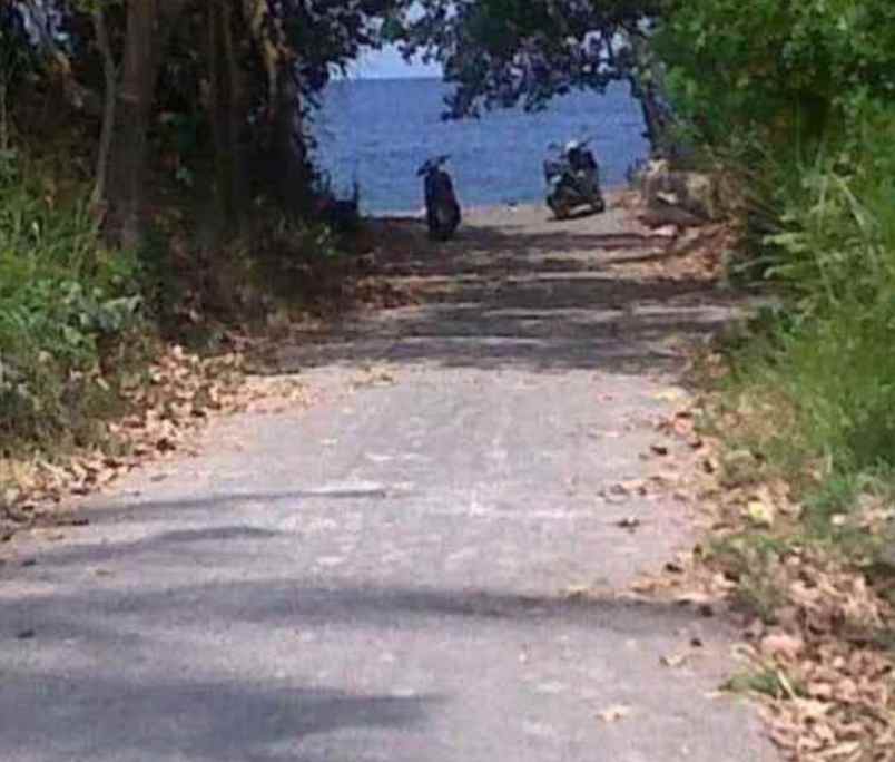 dijual tanah desa tejakula buleleng bali