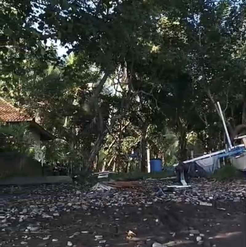 dijual tanah desa tejakula buleleng bali