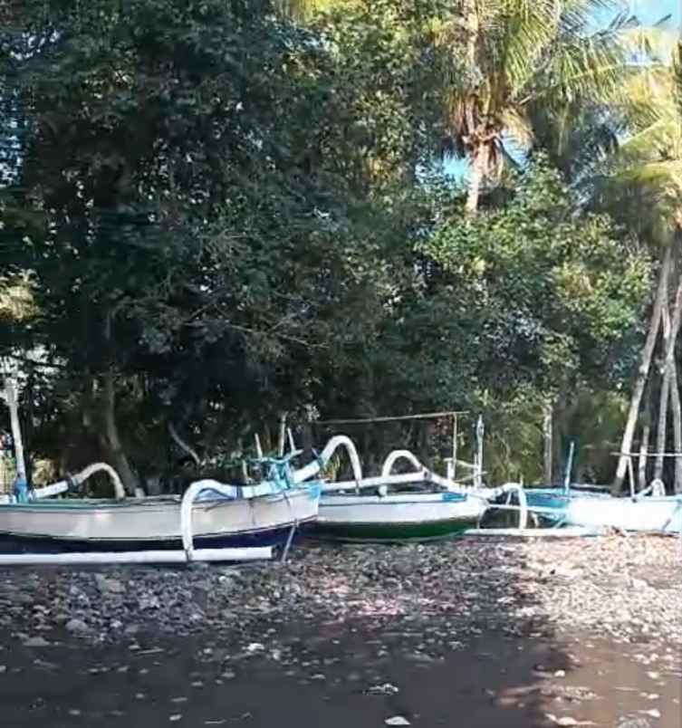 dijual tanah desa tejakula buleleng bali