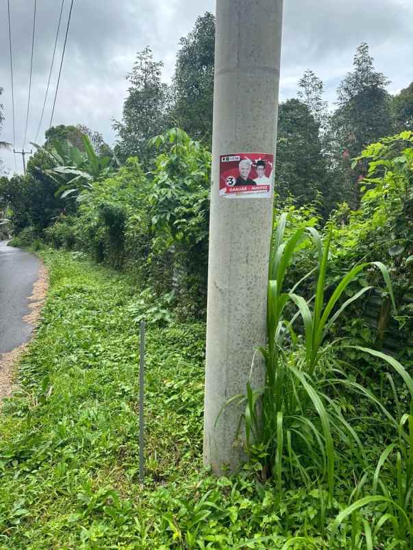 dijual tanah desa tinggarsari buleleng bali