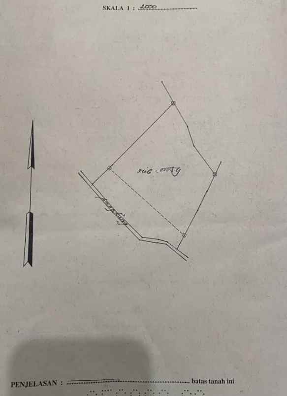 dijual tanah desa tinggarsari buleleng bali