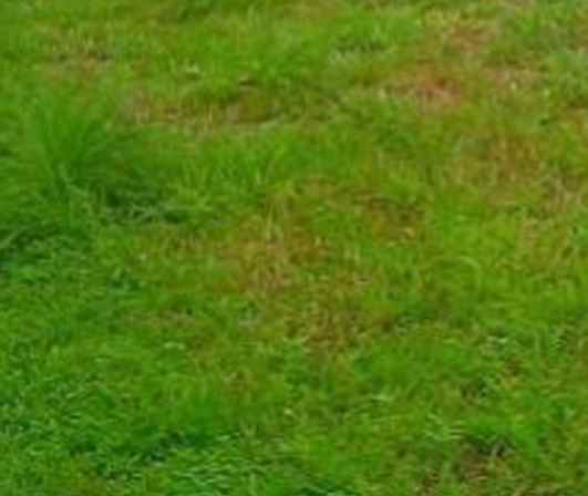 dijual tanah dharmahusada