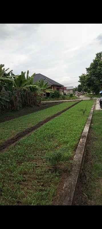 dijual tanah di jl kartama dekat auri harga 250 juta