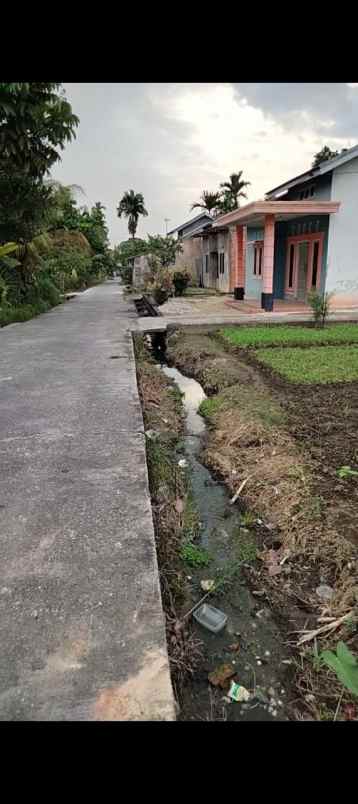 dijual tanah di jl kartama dekat auri harga 250 juta