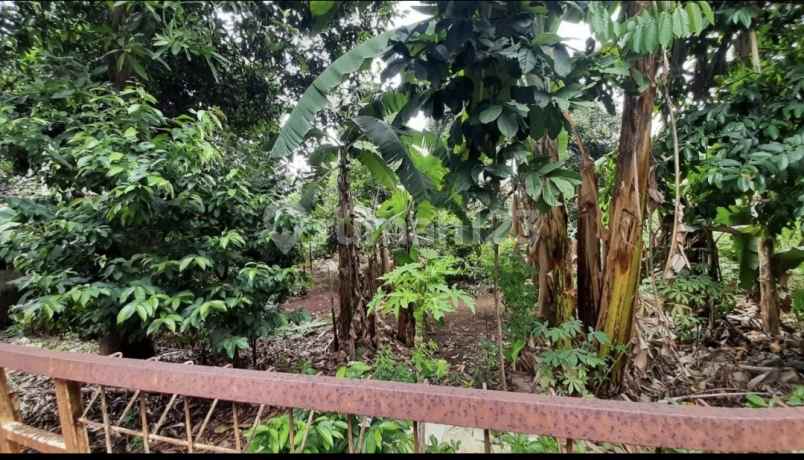 dijual tanah di jln h saleh pamulang