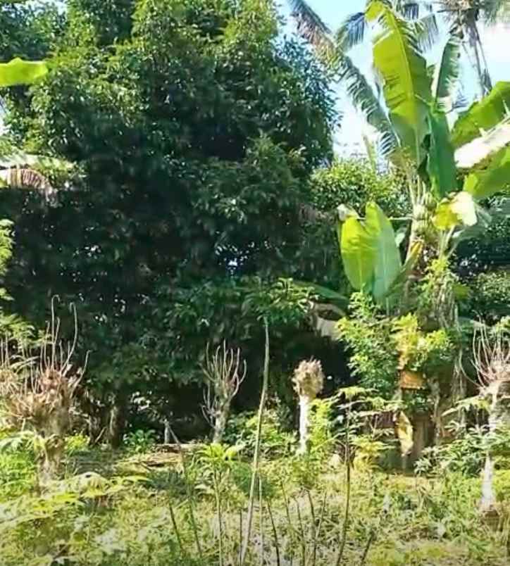 dijual tanah galiukir pupuan tabanan bali