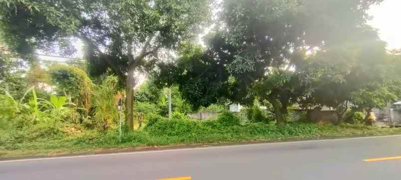 dijual tanah gerokgak buleleng bali