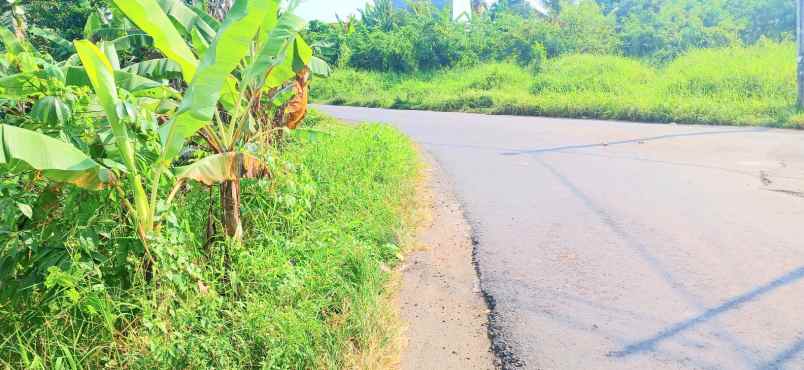 dijual tanah gubug tabanan bali