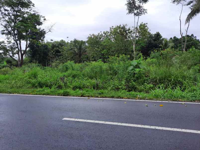 dijual tanah j palagan km 14