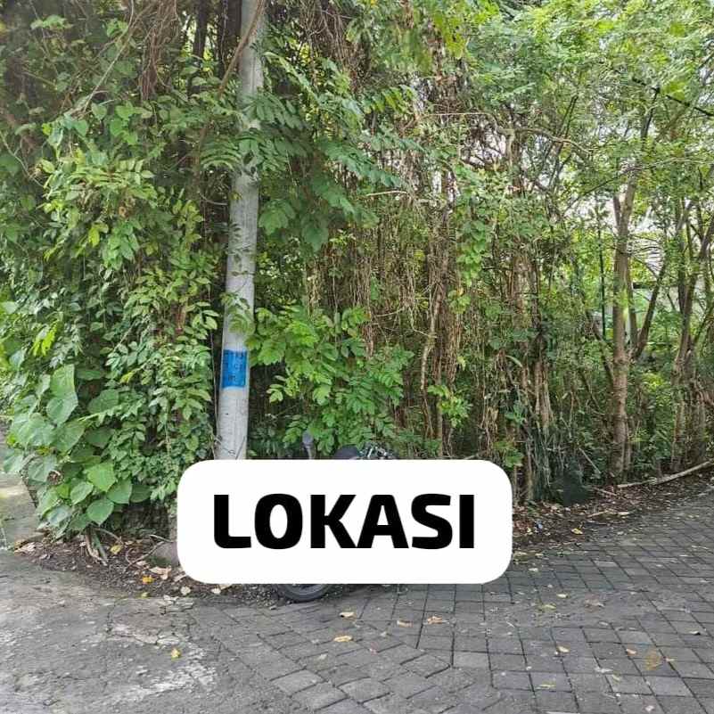 dijual tanah jantuk angsa