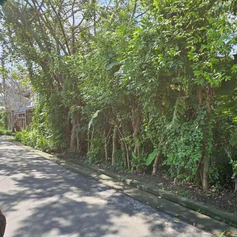 dijual tanah jantuk angsa