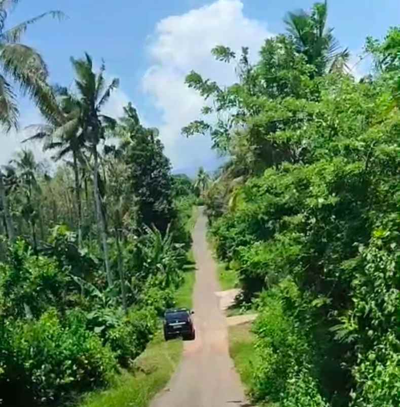 dijual tanah jembrana bali