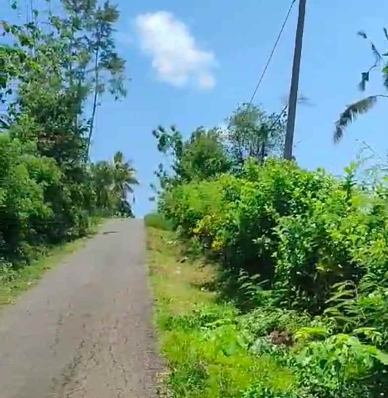 dijual tanah jembrana bali