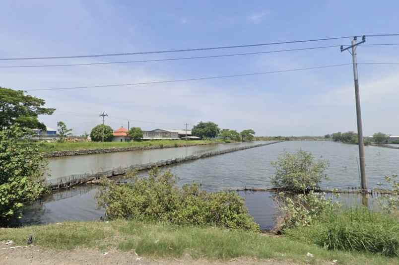 dijual tanah ji raya arteri kaliwungu