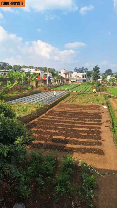 dijual tanah jl cihanjuang lembang bandung