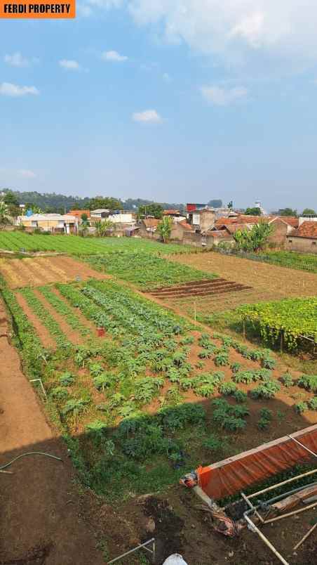 dijual tanah jl cihanjuang lembang bandung