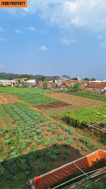 dijual tanah jl cihanjuang lembang bandung