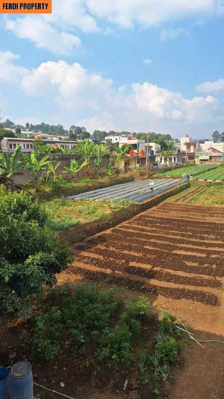 dijual tanah jl cihanjuang lembang bandung