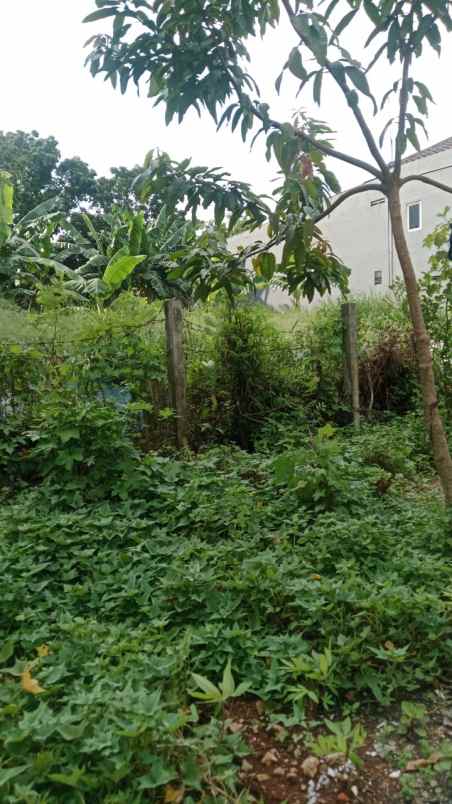 dijual tanah jl pondok kelapa duren