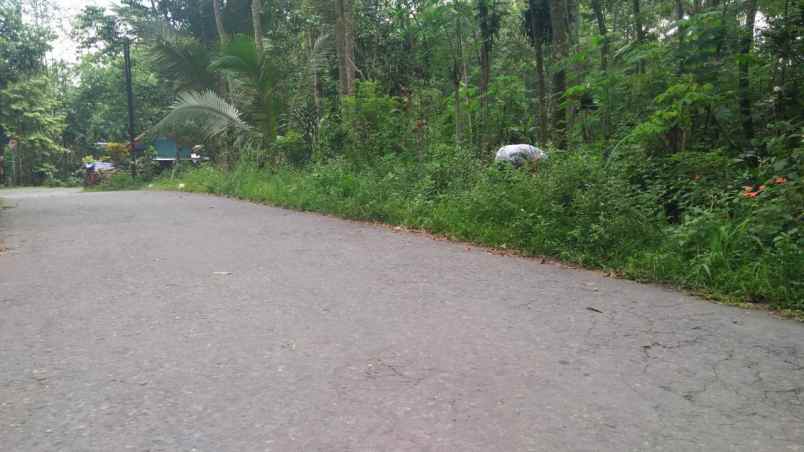dijual tanah kemiri purwobinangun kec