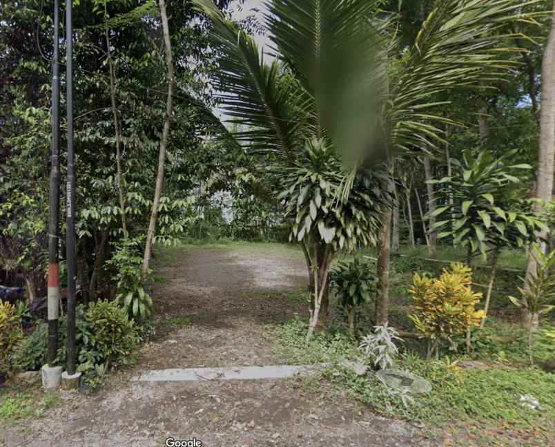 dijual tanah kemiri purwobinangun kec