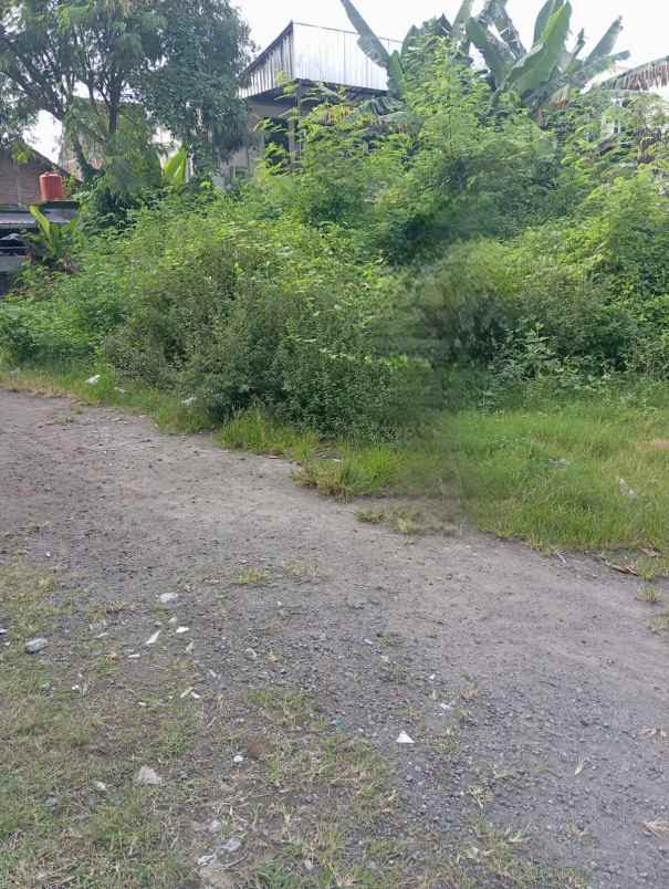 dijual tanah kotagede