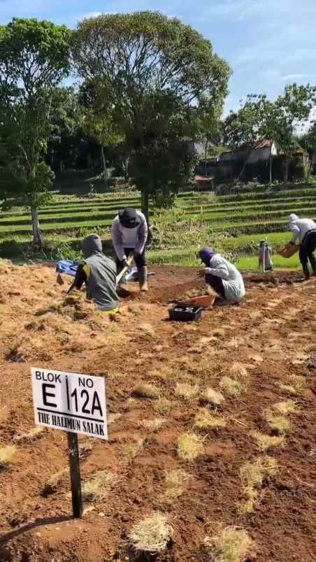 dijual tanah kp padurenan ciburayut