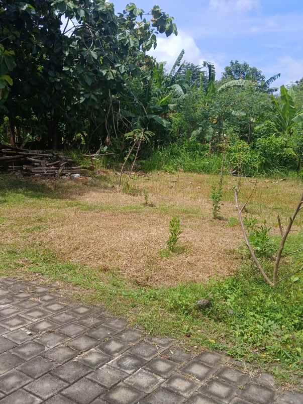 dijual tanah melangkaja