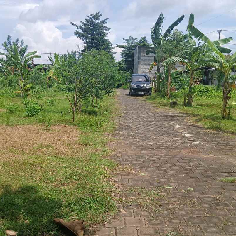 dijual tanah melangkaja