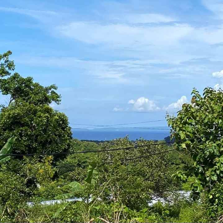 dijual tanah melangkaja goa gong